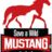 Ford Mustang Registry